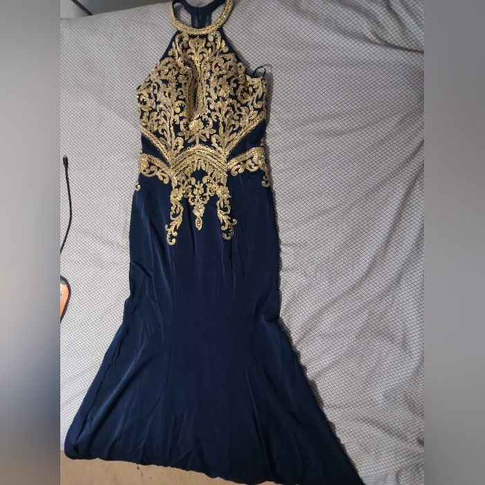 Blue/ Gold Dress